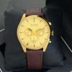 Hugo Boss Classic Gold Dial Chronograph